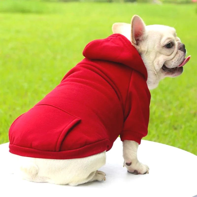 sweat a capuche pour chien rouge