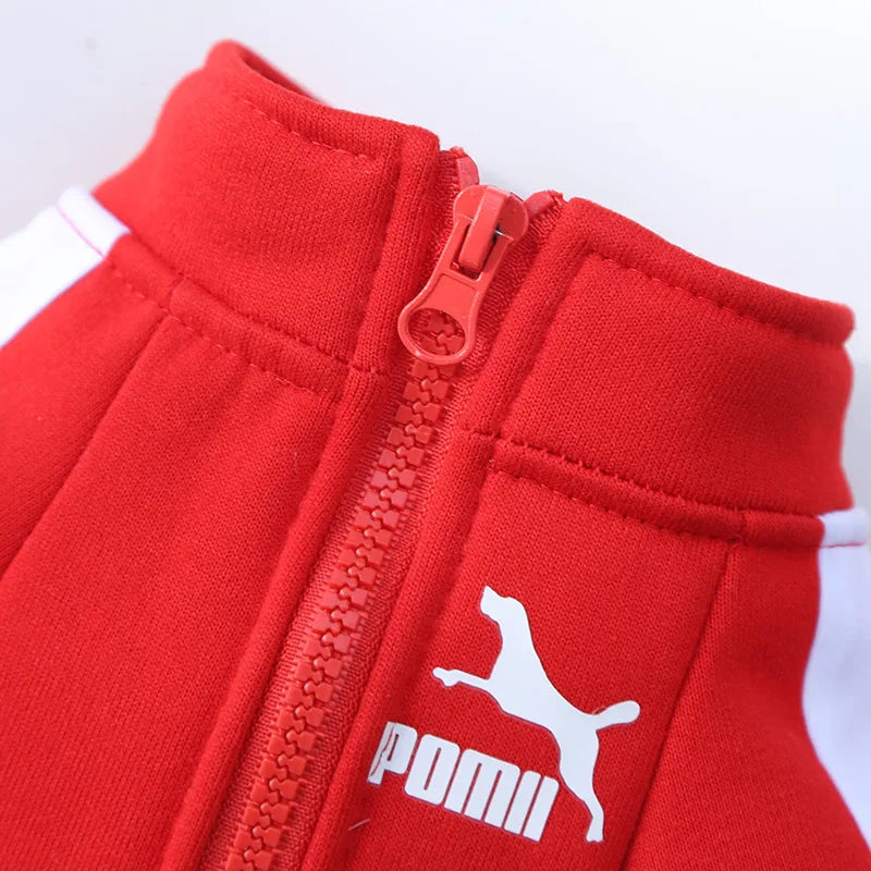sweat pour chien fermeture zip
