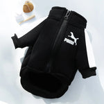 Veste sweat pour chien - Vignette | laisse pour chien. fr