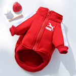 Veste sweat pour chien - Vignette | laisse pour chien. fr