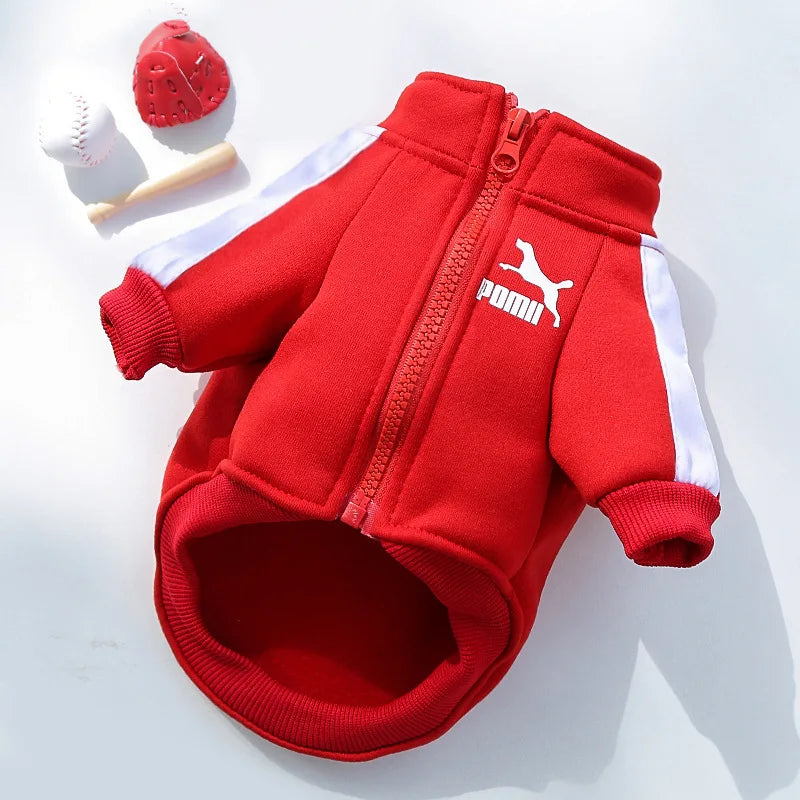 sweat pour chien rouge