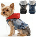 Veste en jean pour chien - Vignette | laisse pour chien. fr