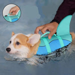 Gilet de sauvetage requin pour chien - Vignette | laisse pour chien. fr