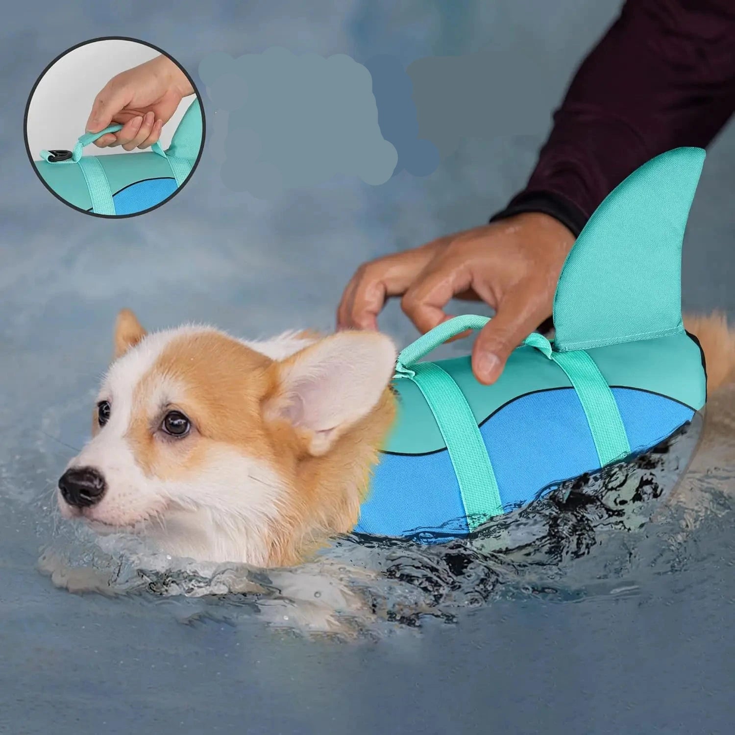 veste gilet de sauvetage requin pour chien