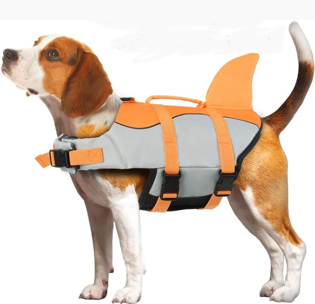 veste gilet de sauvetage requin pour chien gris et orange