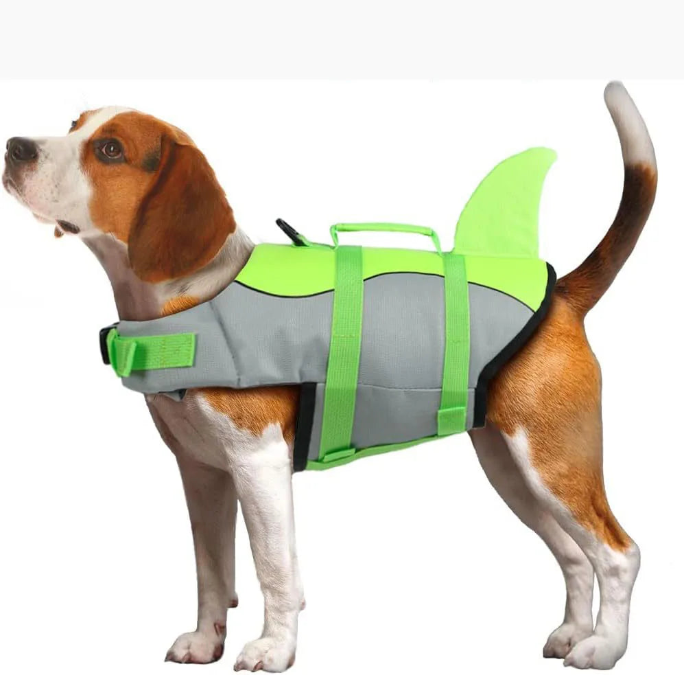 veste gilet de sauvetage requin pour chien gris et vert