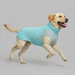 Veste rafraîchissante anti UV pour grand chien - Vignette | laisse pour chien. fr