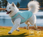 Veste rafraîchissante anti UV pour grand chien - Vignette | laisse pour chien. fr