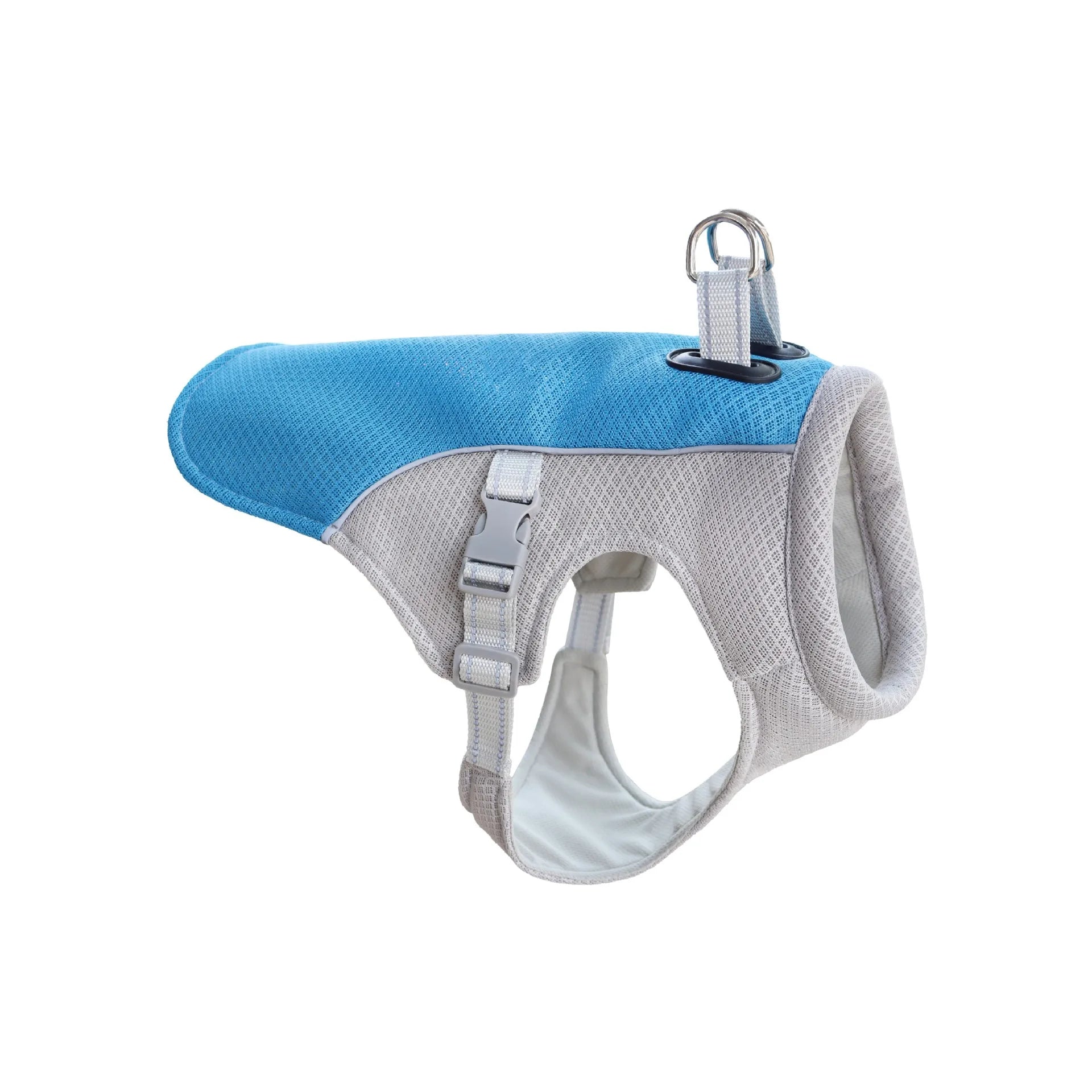 veste rafraichissante pour chien bleu