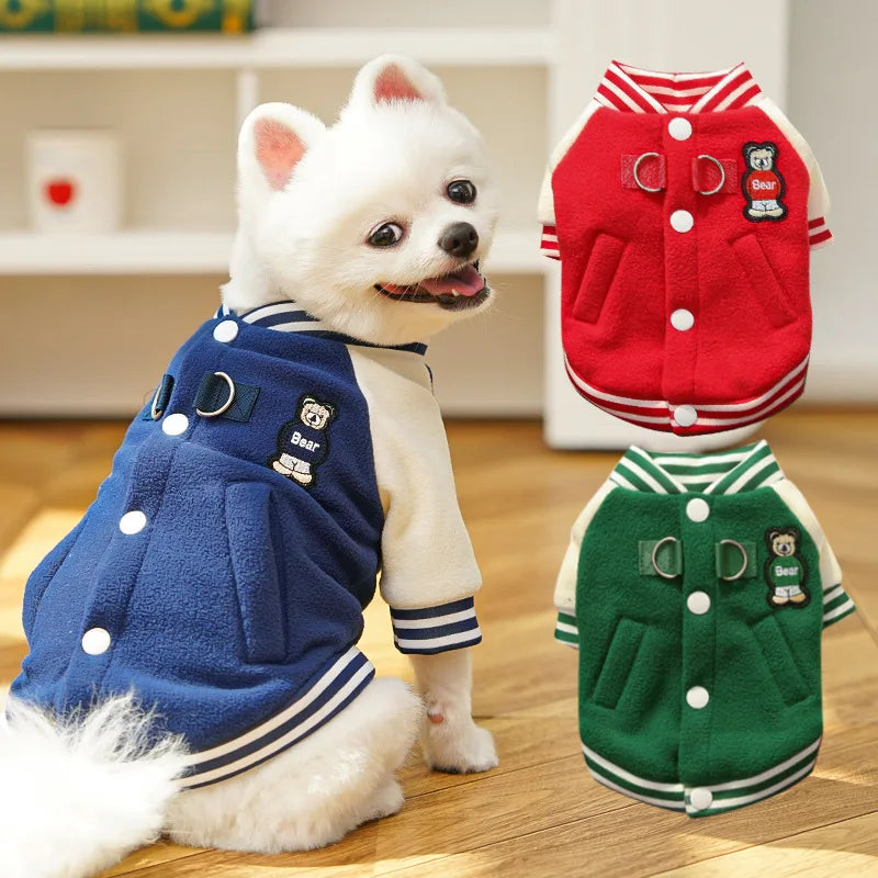 veste teddy US pour chien