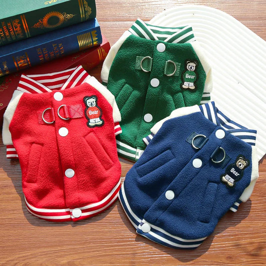 veste teddy pour chien