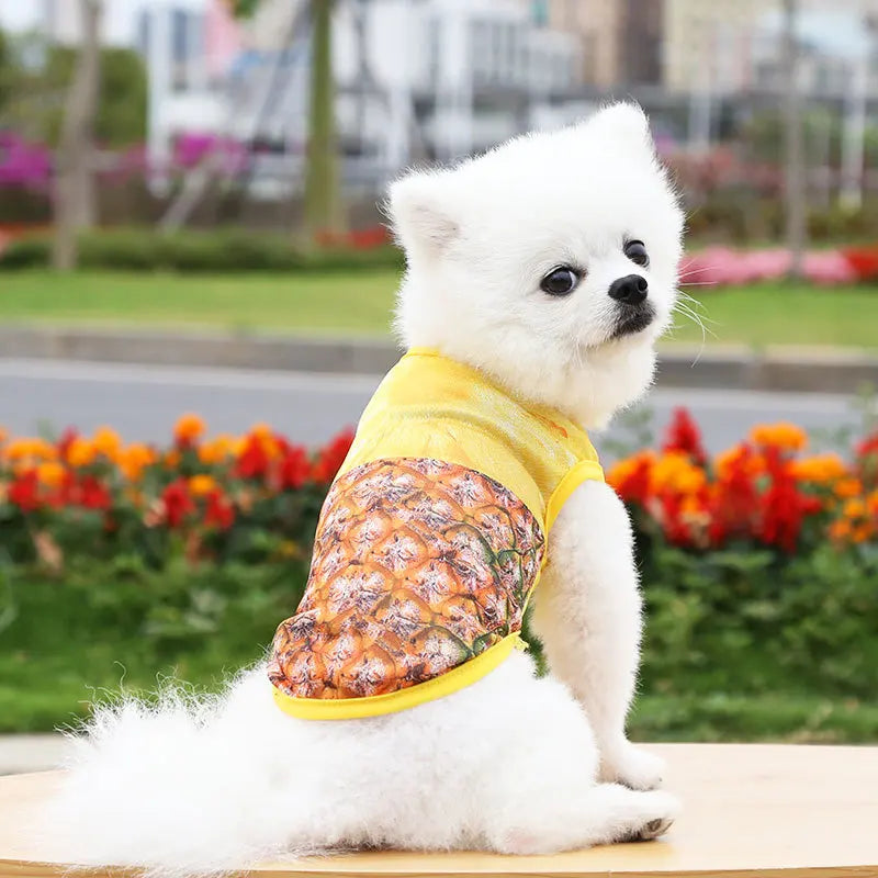 vetement a motifs pour chien ananas