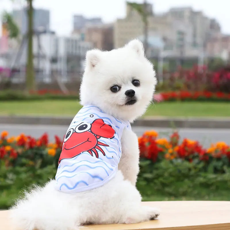 vetement a motifs pour chien crabe
