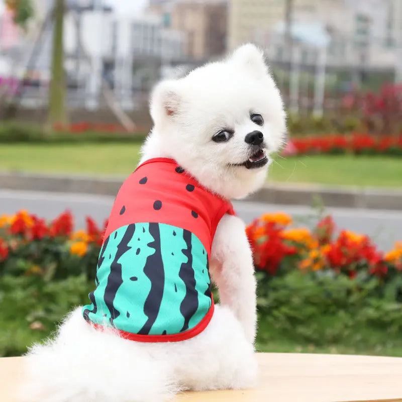 vetement a motifs pour chien pastèque