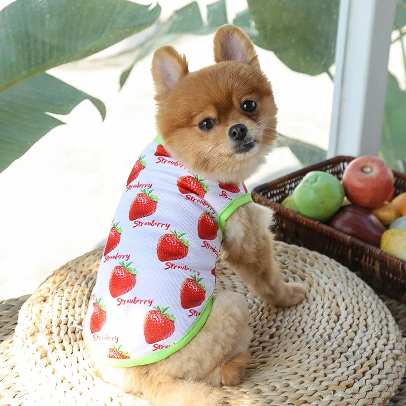 vetement pour chien fraise